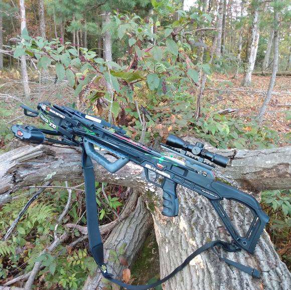 Meet your Posher, David - Picture 1 of 1